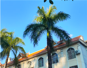 以数据赋能低空经济 激活发展新质生产力