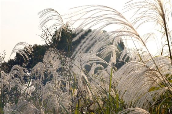 大力推动再生材料利用 增强绿色发展新动能