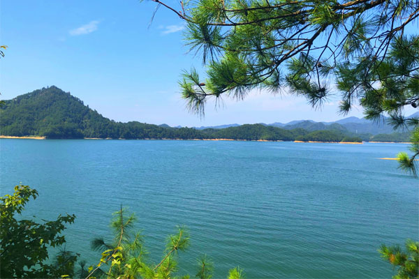 “穿粤时尚潮服荟”之“四新”资源赋能纺织服装产业对接活动成功举办