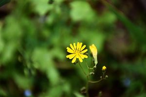 3000人靠一根红绳增收！邓州陶营镇织就乡村振兴“中国红”