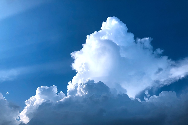 2万吨混纺纱线，1.1亿米印染布！新疆首条“塑料变成衣”全产业链贯通