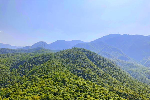 6月棉花进口月报：进口棉均价走高 巴西棉占比下降